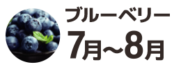 ブルーベリー7月〜8月