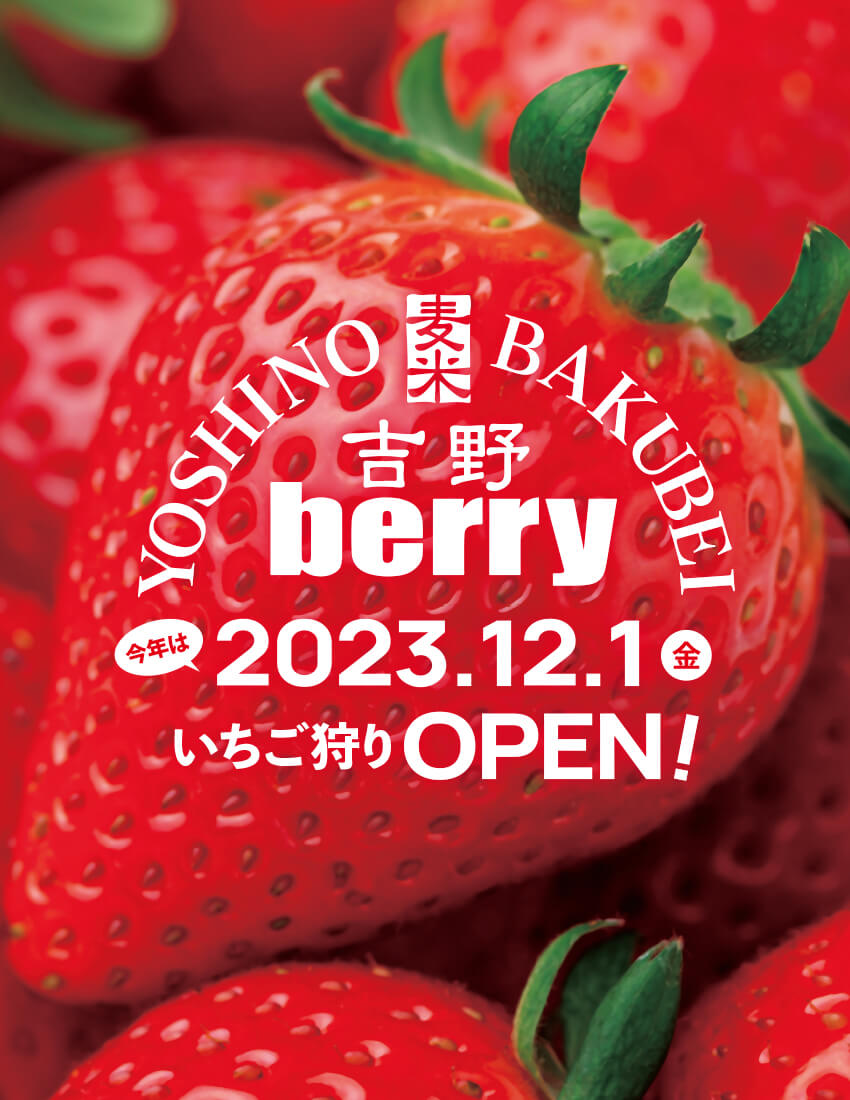 吉野berry・いちご狩りブルーベリー狩り