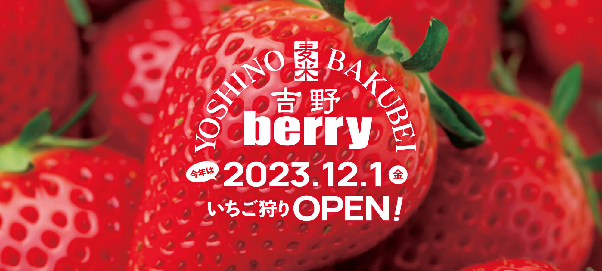 吉野berry・いちご狩りブルーベリー狩り