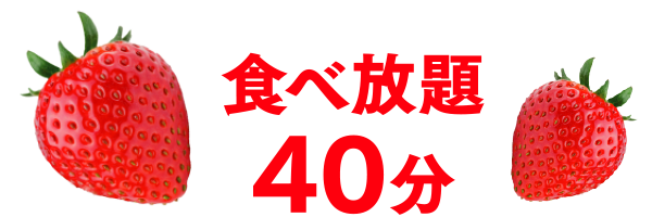 食べ放題40分